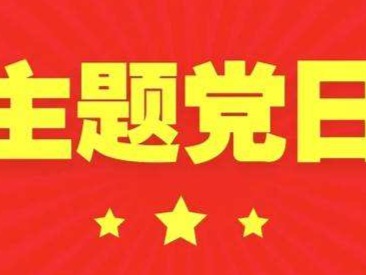 机厂街社区党总支 关于建立党支部“主题党日”制度的实施方案