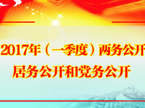 2017年（一季度）两务公开