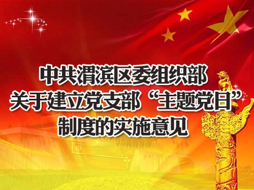 中共渭滨区委组织部关于建立党支部“主题党日”制度的实施意见