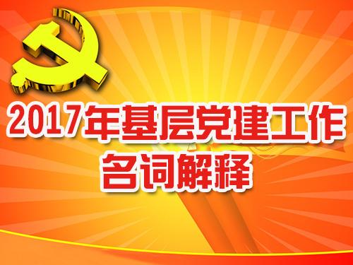 2017年基层党建工作名词解释