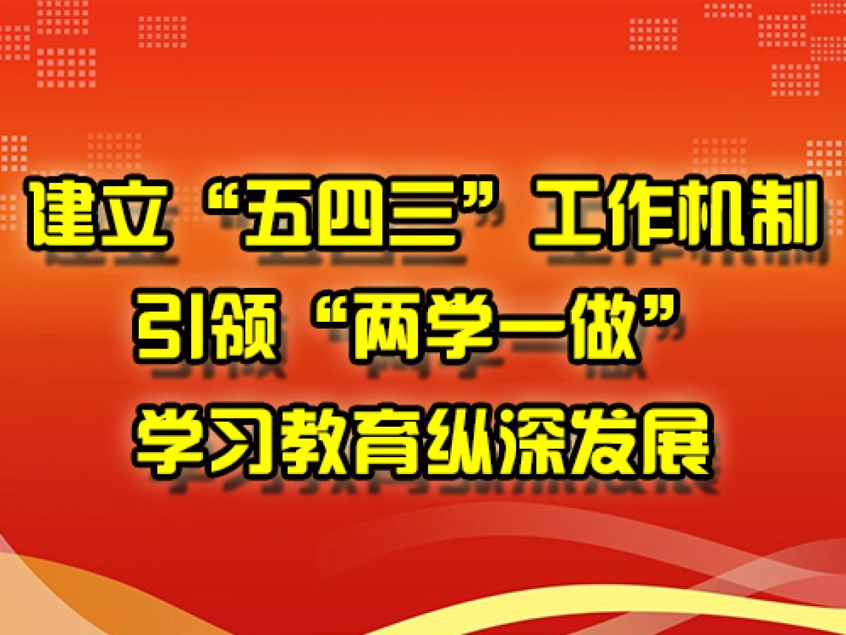 建立“五四三”工作机制引领“两学一做”学习教育纵深发展