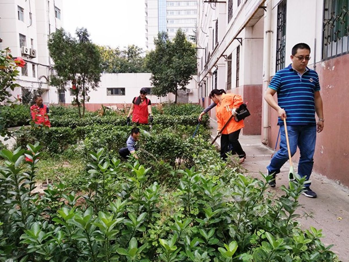 1513755044135550.jpg 2.jpg