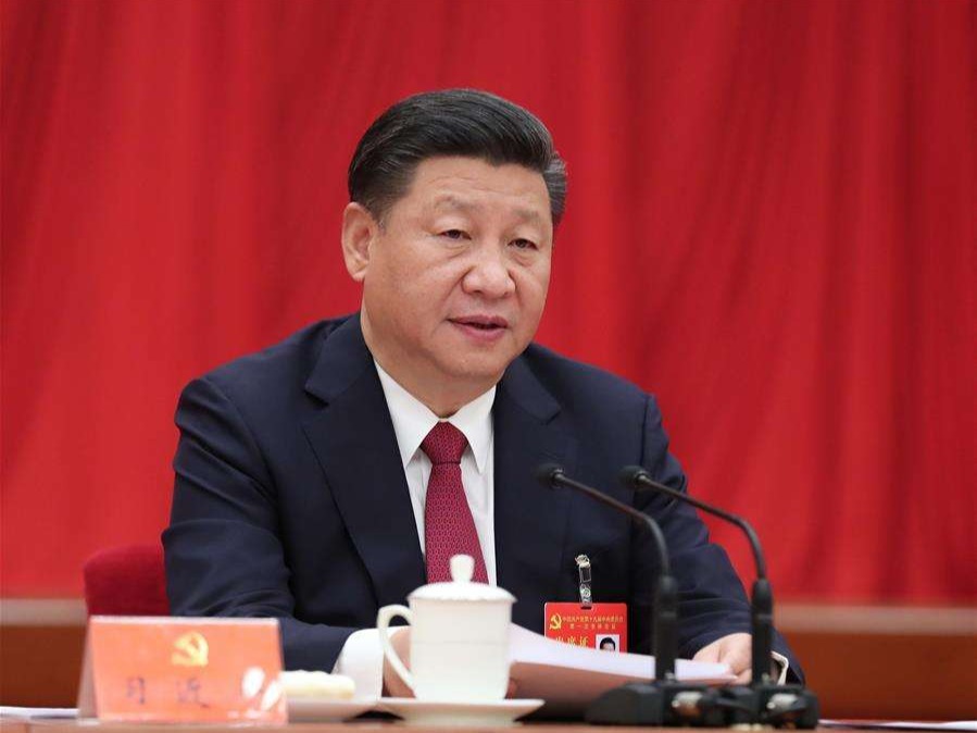 习近平总书记《在党的十九届一中全会上的讲话》