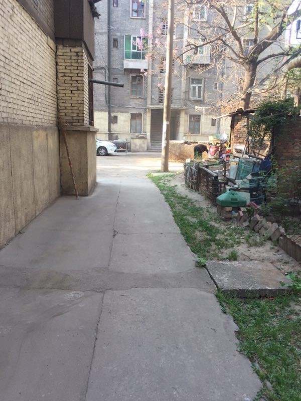 1546051849669746.jpg 3.jpg