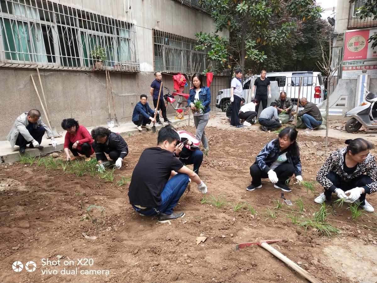 开展绿化植被   建设幸福家园