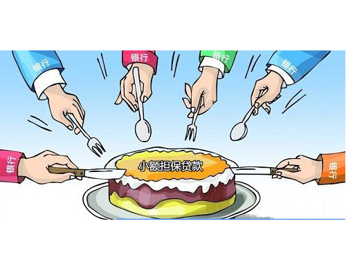 小额担保贷款培训制度