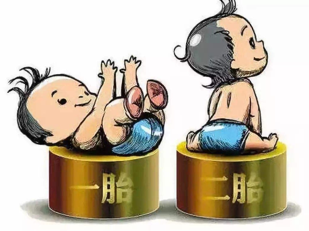 二孩生育登记办理所需资料