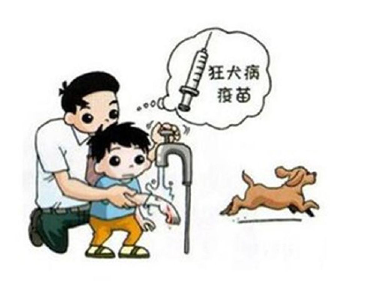 关于加强狂犬病防控工作的通知