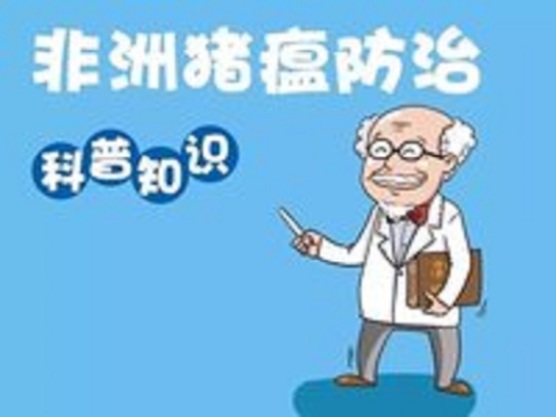 重点来了！面对非洲猪瘟，我们该怎么做？