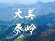 省委秦岭区域违建别墅整治专项督查组 关于公布举报电话邮箱的公告