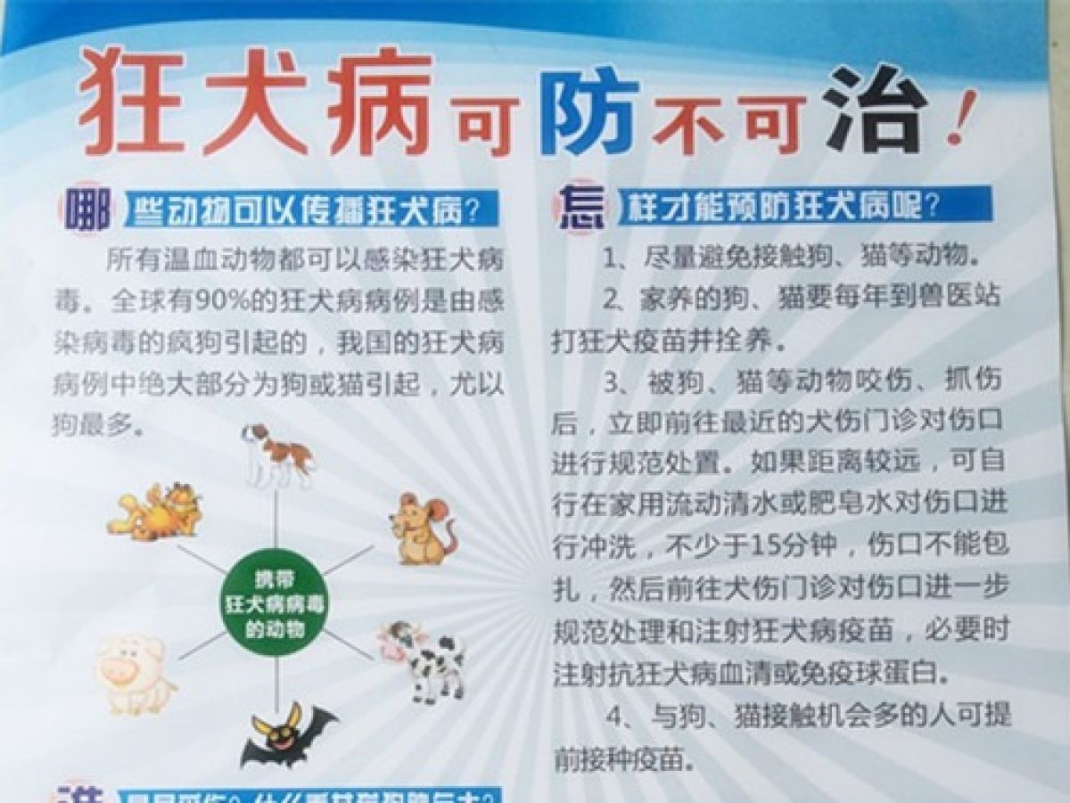 狂犬病可防不可治！！预防知识要牢记