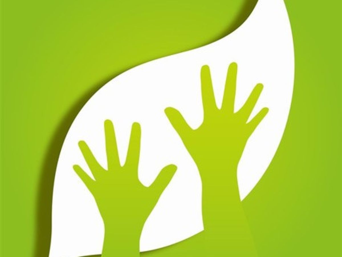 动动巧手 变废为宝|一起来做环保达人吧