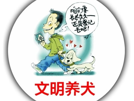 关于文明养犬通知
