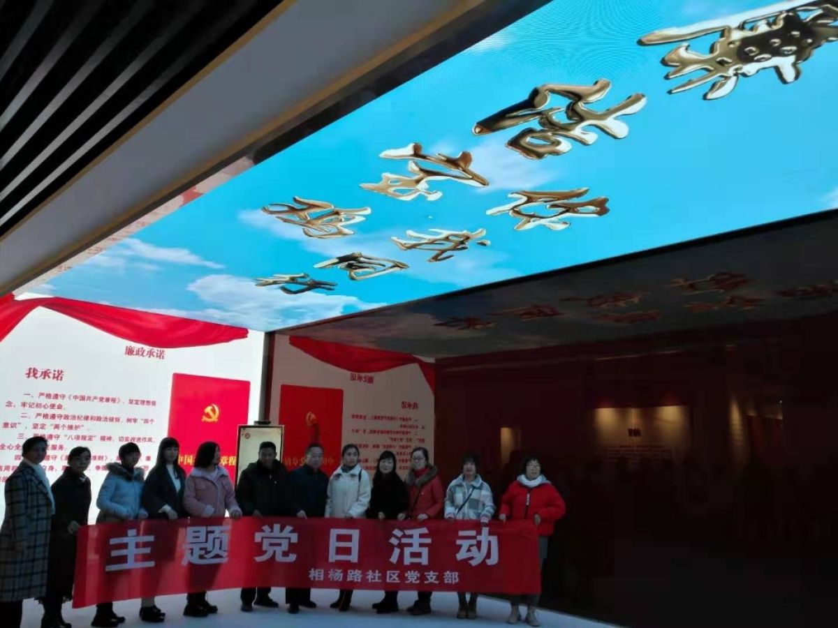 社区开展“廉政教育”主题党日活动
