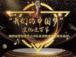 文化惠民演出通知