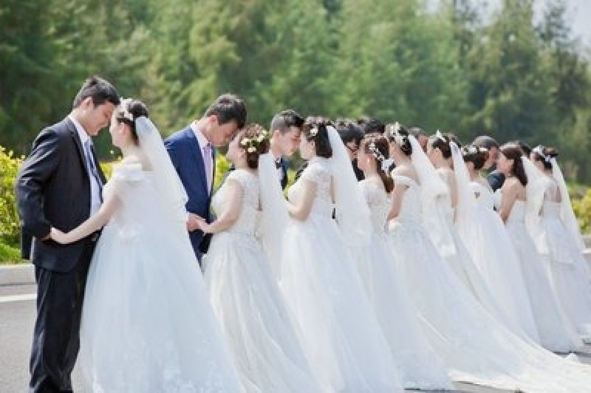 关于举办宝鸡市“所谓伊人 在水一方”渭河百里花海集体婚礼的通知