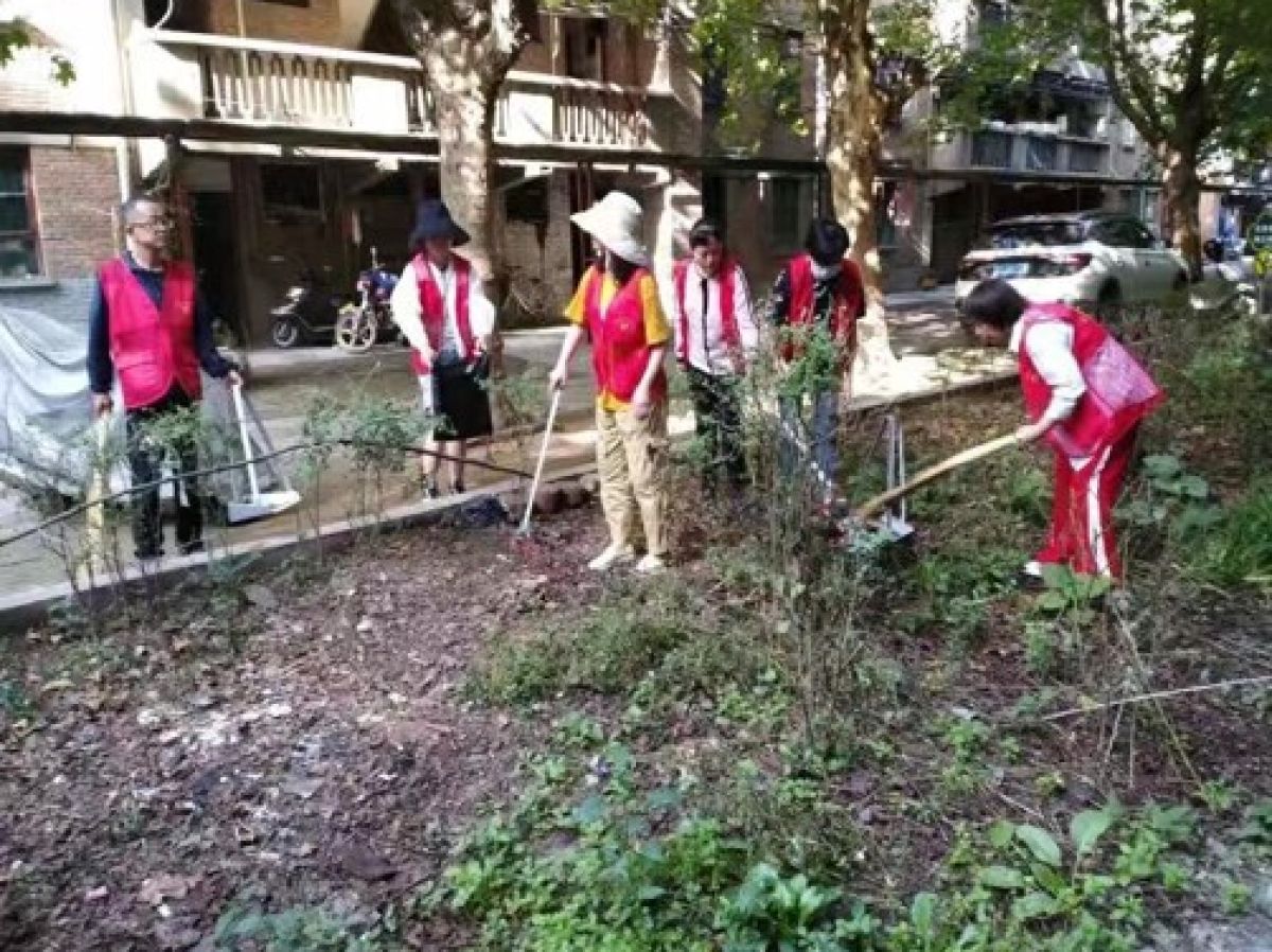 北照西区环境卫生整治