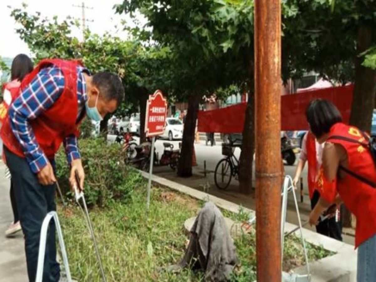 北照路整治志愿活动