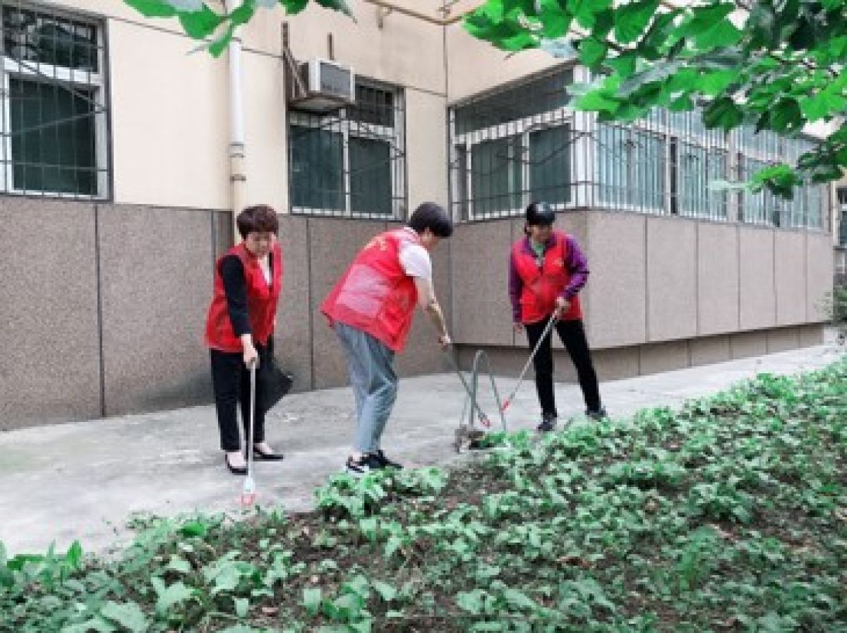 创文复检环境卫生整治