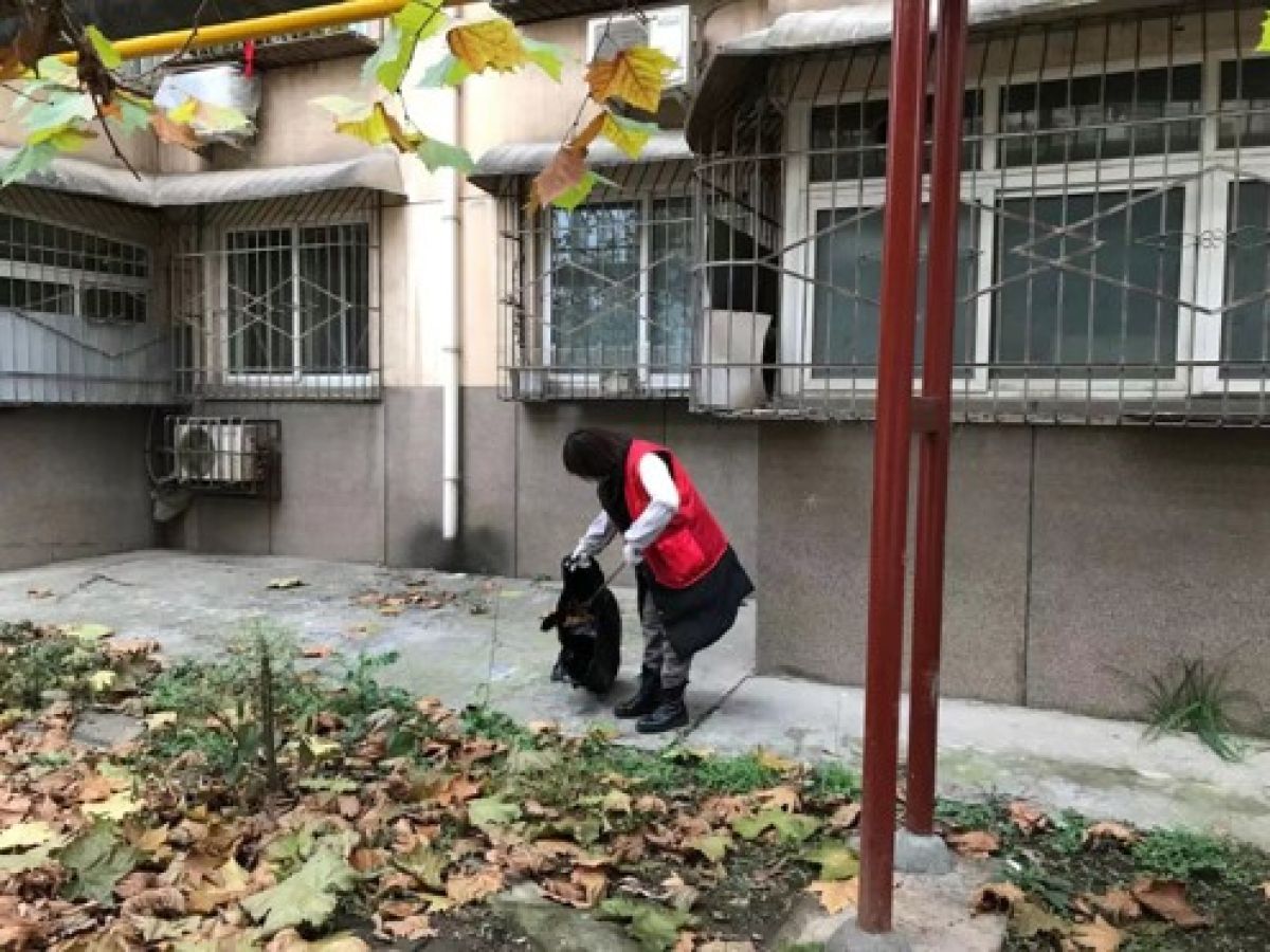 北照路环境大整治