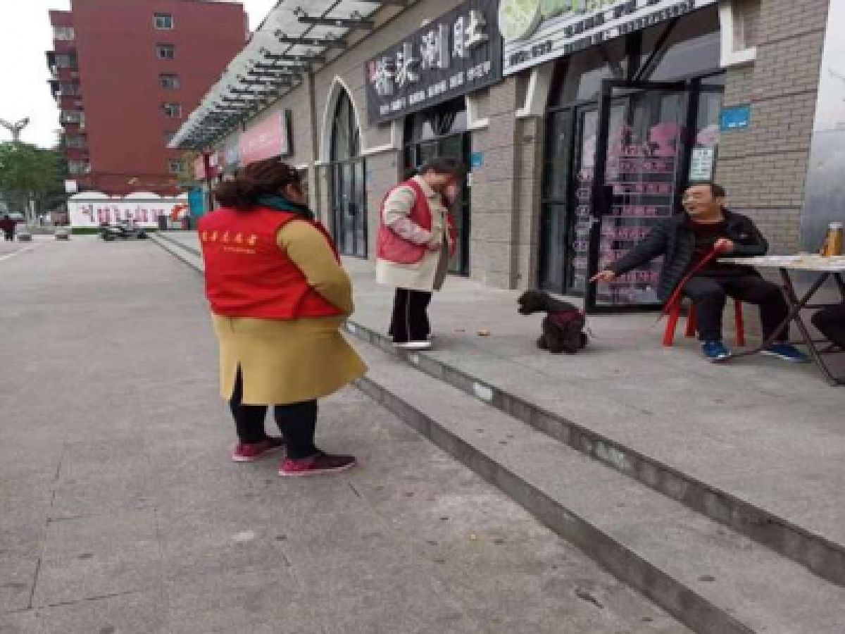 文明养犬要提倡     社区志愿来劝导