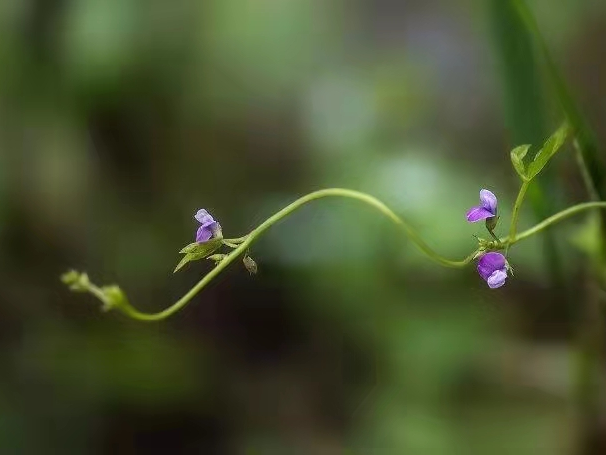 5月19日接种过北京生物新冠疫苗的看过来