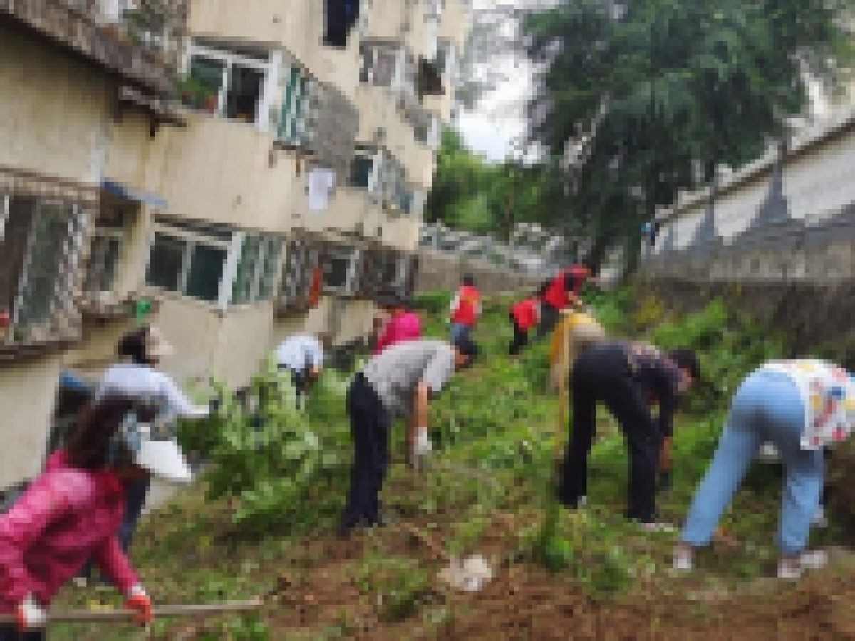 宝桥社区开展“美丽家园”志愿服务