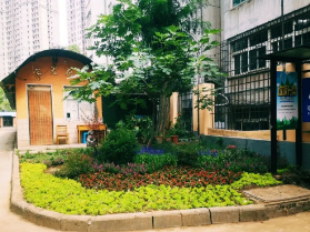 党建引领文化启航 同心共建美丽家园