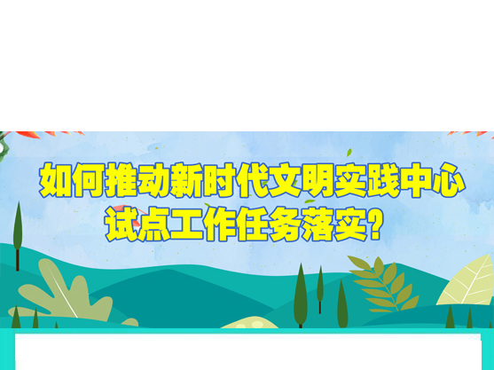 【新时代文明实践】之：如何推动试点工作任务落实？