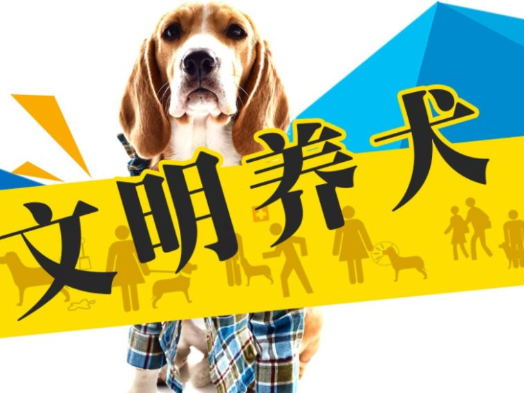 【文明养犬】《宝鸡市养犬管理条例》8月1日起施行！