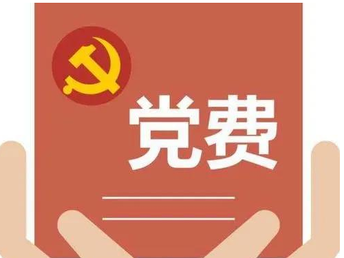 党费缴纳
