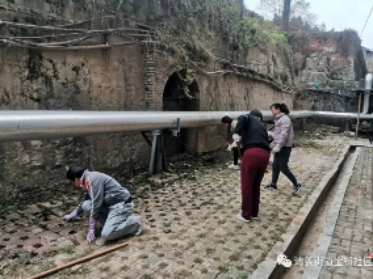 《桥之音》宝桥社区居民自治志愿者 活动纪实