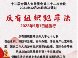 反有组织犯罪法宣传小知识