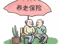 城乡居民基本养老保险缴费指南之——陕西养老手机APP