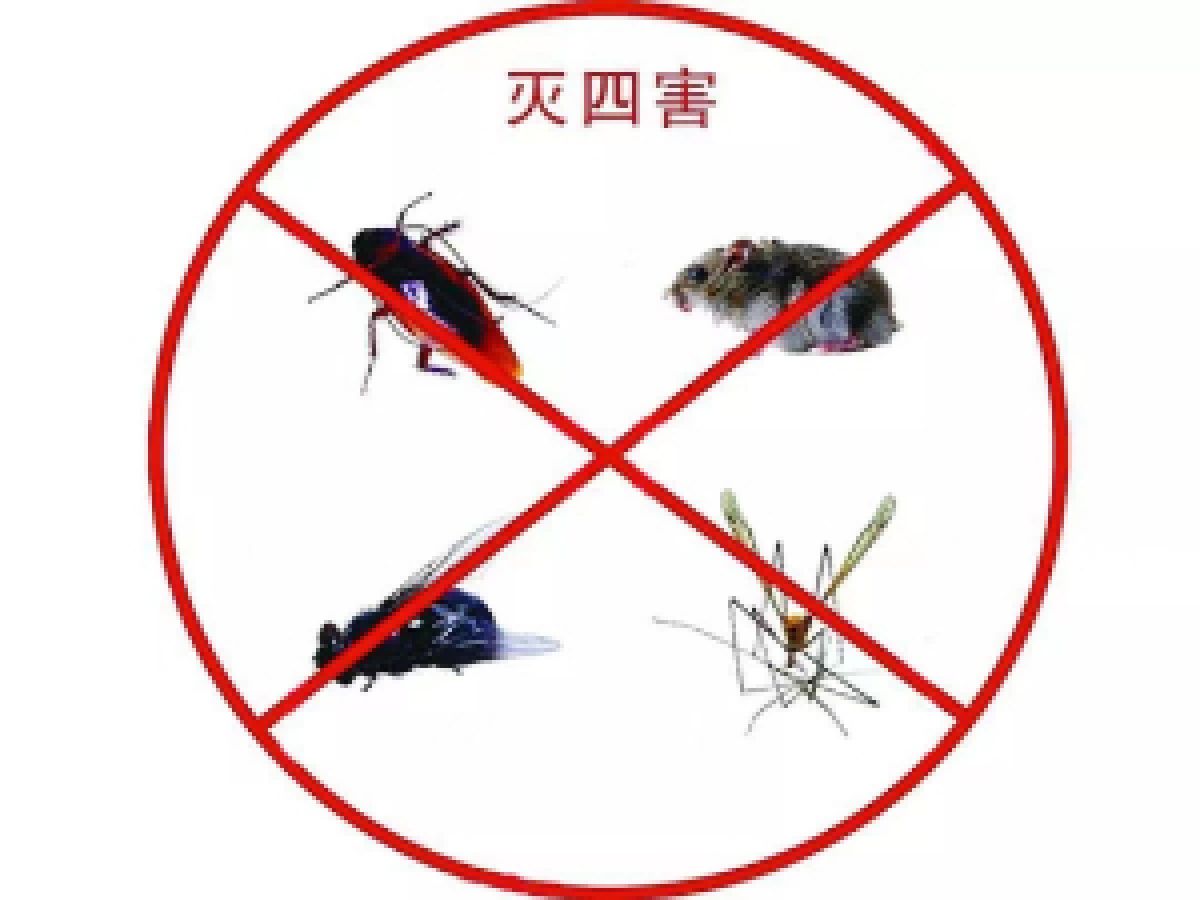 病媒生物预防知识宣传《一》