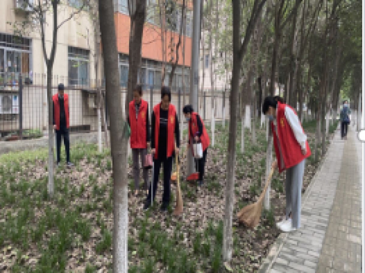 喜迎二十大   欢度国庆节 —环境卫生整治活动小结