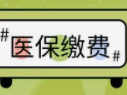 关于2023年医疗保险参保缴费工作通知