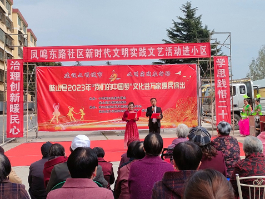凤鸣东路社区  “治理创新暖民心 学思践悟二十大”文化汇演进小区