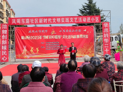 凤鸣东路社区  “治理创新暖民心 学思践悟二十大”文化汇演进小区