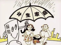 计生家庭互助保险