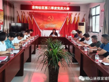 踔厉奋发勇向前 砥砺前行敢争先 ——蔡家坡镇东街社区党支部召开第二季度党员大会