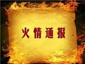 通    报