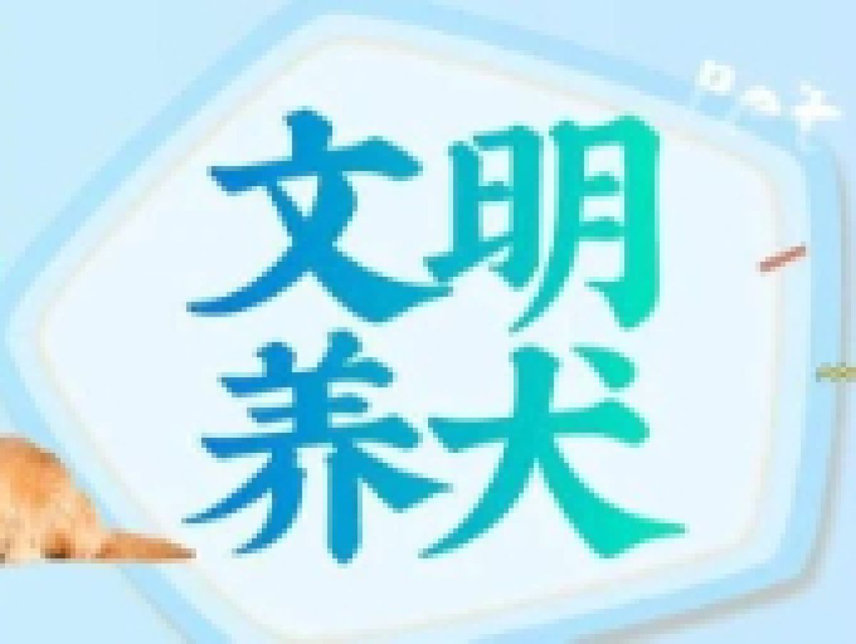 文明养犬倡议书