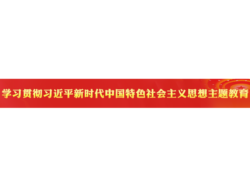 在学习贯彻习近平新时代中国特色社会主义思想主题教育工作会议上的讲话