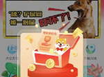办狗证送保险，让你的爱犬更有保障！