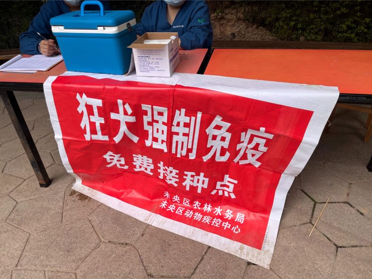 狂犬疫苗进社区，文明养犬“宠”爱有方