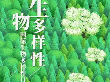 生物多样性，你我共参与