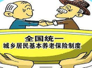 2024年度城乡居民基本养老保险集中缴费通告