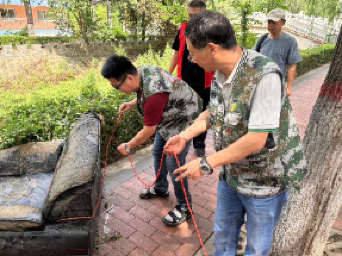 公园路社区：齐心协力，守护社区环境