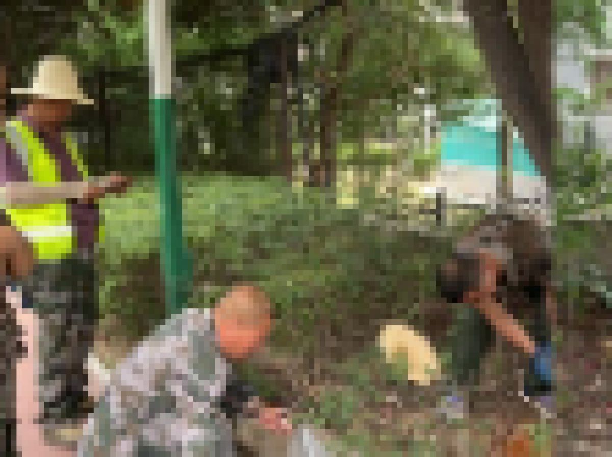 【美丽型社区】 清理枯树解民忧 消除隐患保安全